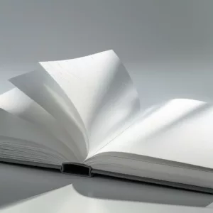 Les Manuels